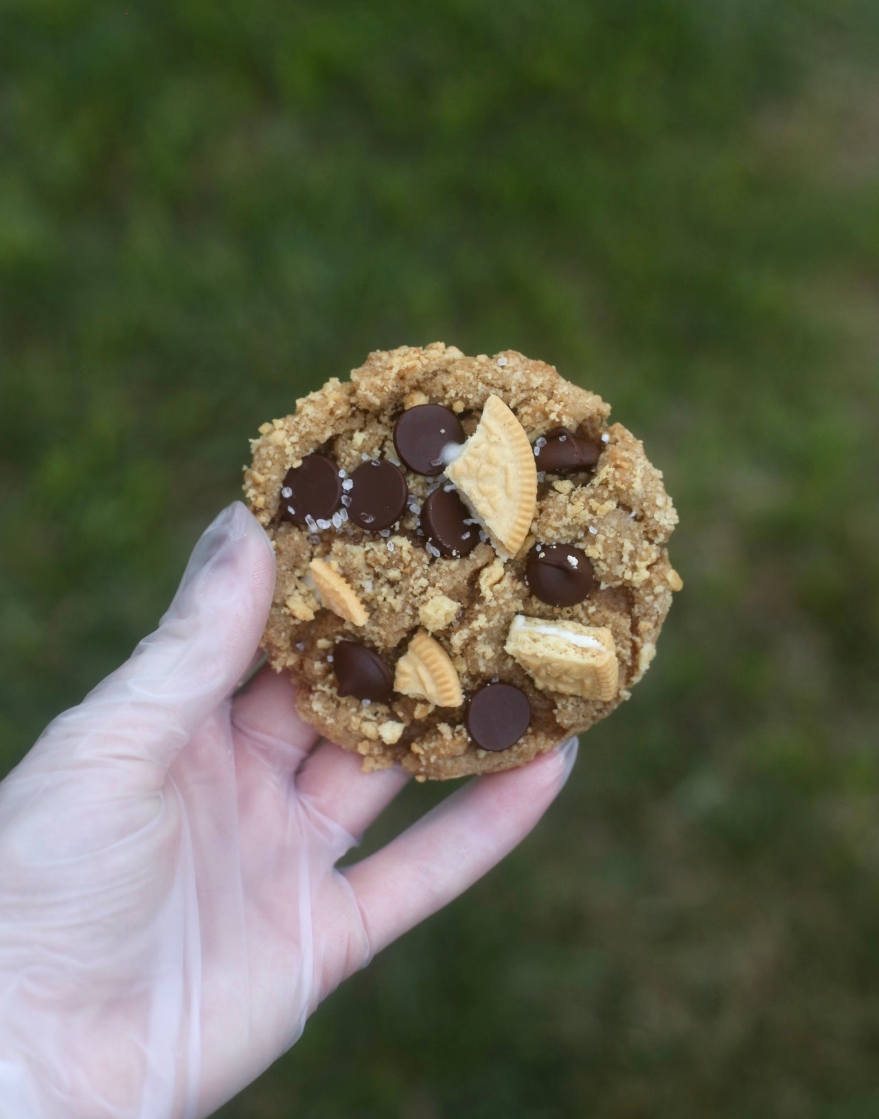 The Golden Nugget - August Flavor of the Month